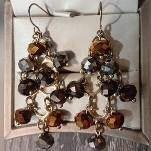Elegant Multi-Tone Dangle Earrings